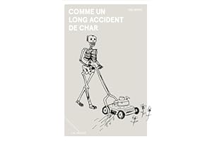 Comme un long accident de char (French Edition)