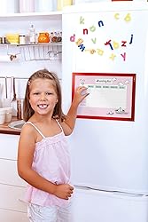 Durable DURAFRAME Self-Adhesive Magnetic Display