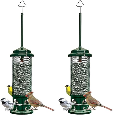Amazon Com Squirrel Buster Legacy Squirrel Proof Bird Feeder W 4