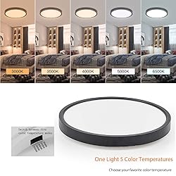 TALOYA Dimmable Flush Mount Ceiling