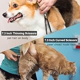 CIICII 7 Inch Dog Grooming Scissors Kit with Safety Tip Curved & Thinning Sets view 6