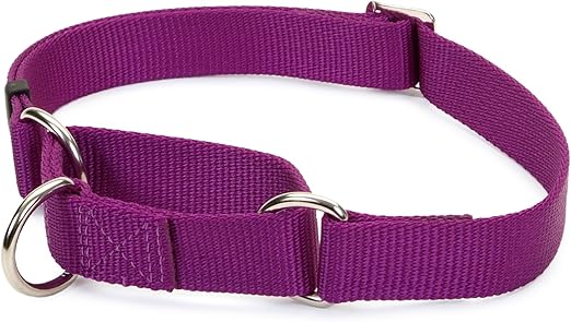 no slip dog collars
