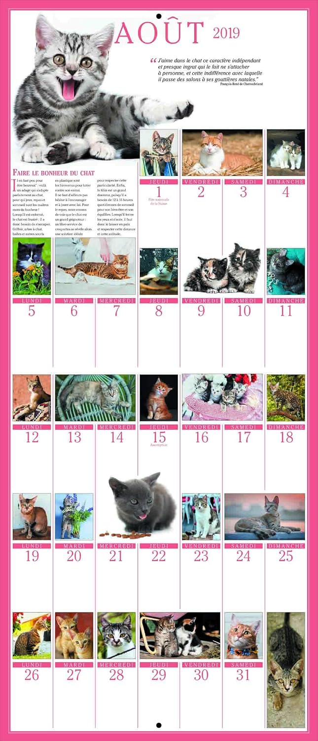 The Great 365 Cats Calendar 2019 - Image 5