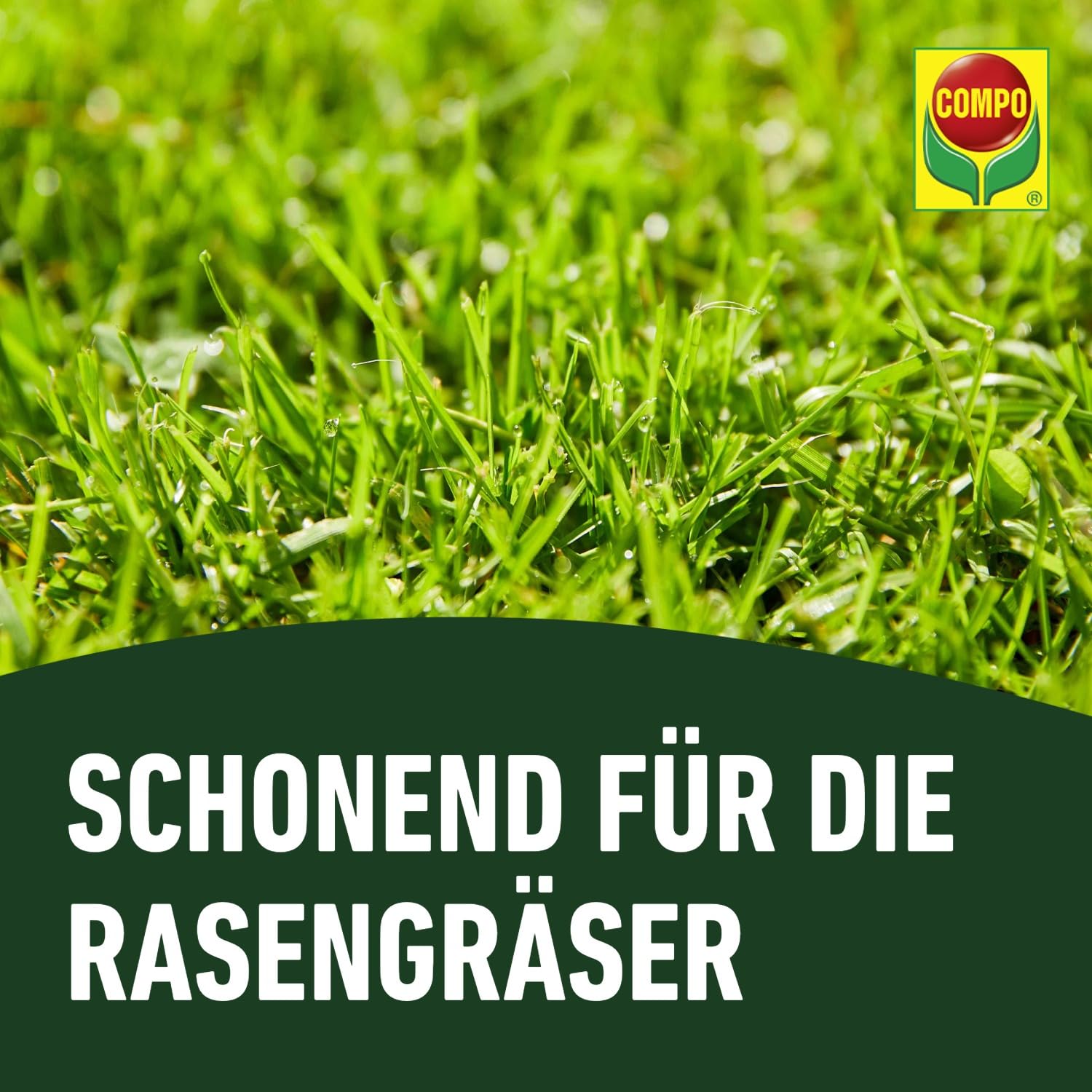 COMPO Rasenunkraut-Vernichter Banvel Quattro, Bekämpfung von schwerbekämpfbaren Unkräutern im Rasen, Konzentrat, 400 ml (400 m²) 8