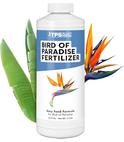 fertilizer for monstera plant Plant Superfood for MONSTERA Plants with B1 Vitamin, Glucose and Essential Minerals main image 1