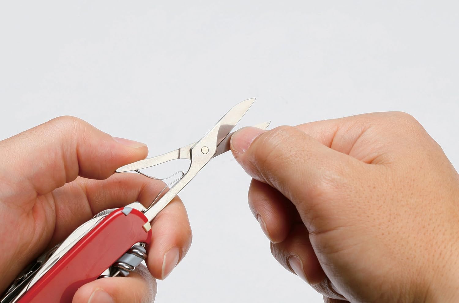 Victorinox Swiss Champ Swiss Army Knife, Medium, Multi Tool, 33 Functions, Blade, Scissors, Silver Transparent - Image 3