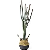 NCYP 4ft (48 Inch) Tall Artificial Cactus in Plastic Planter with Seagrass Basket - Faux Small Saguaro Cacti Potted for Home, Room, Office, Indoor Farmhouse Floor Decor, Fake Plants