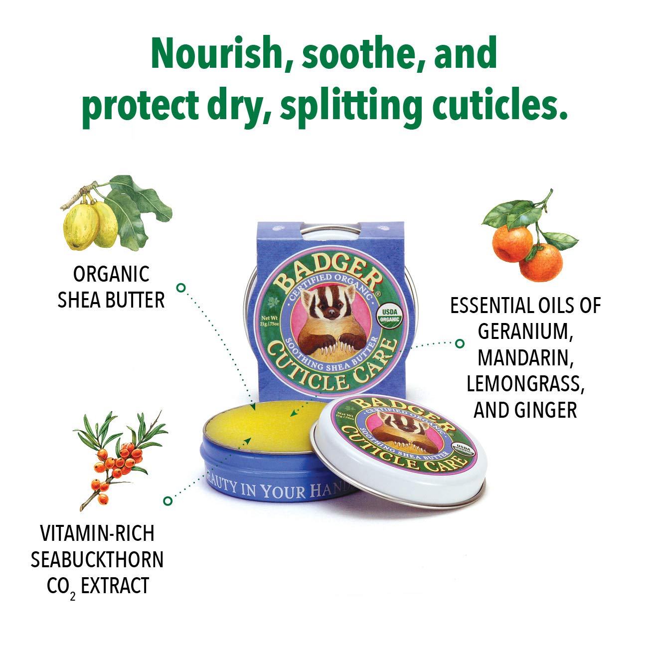 Badger - Cuticle Care, Soothing Shea Butter Cuticle Balm, Certified Organic, Nourish and Protect Cuticles and Nails, Fingernail Care, Protect Dry Splitting Cuticles, 0.75 oz (3 Pack): Beauty