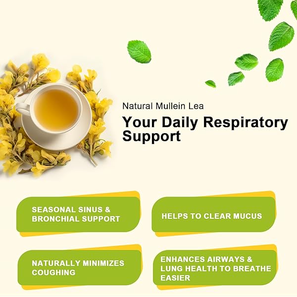 MULLEIN LEAF TEA – RESPIRATORY AND LUNG CLEANSE HERBAL TEA, CAFFEINE FREE, 30 TEA BAGS