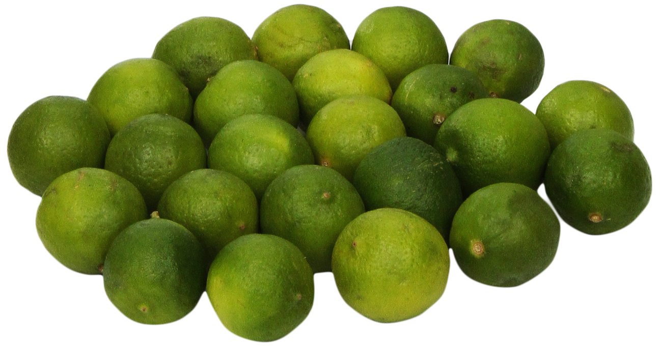 Tropicana limes 16oz (095829500909)
