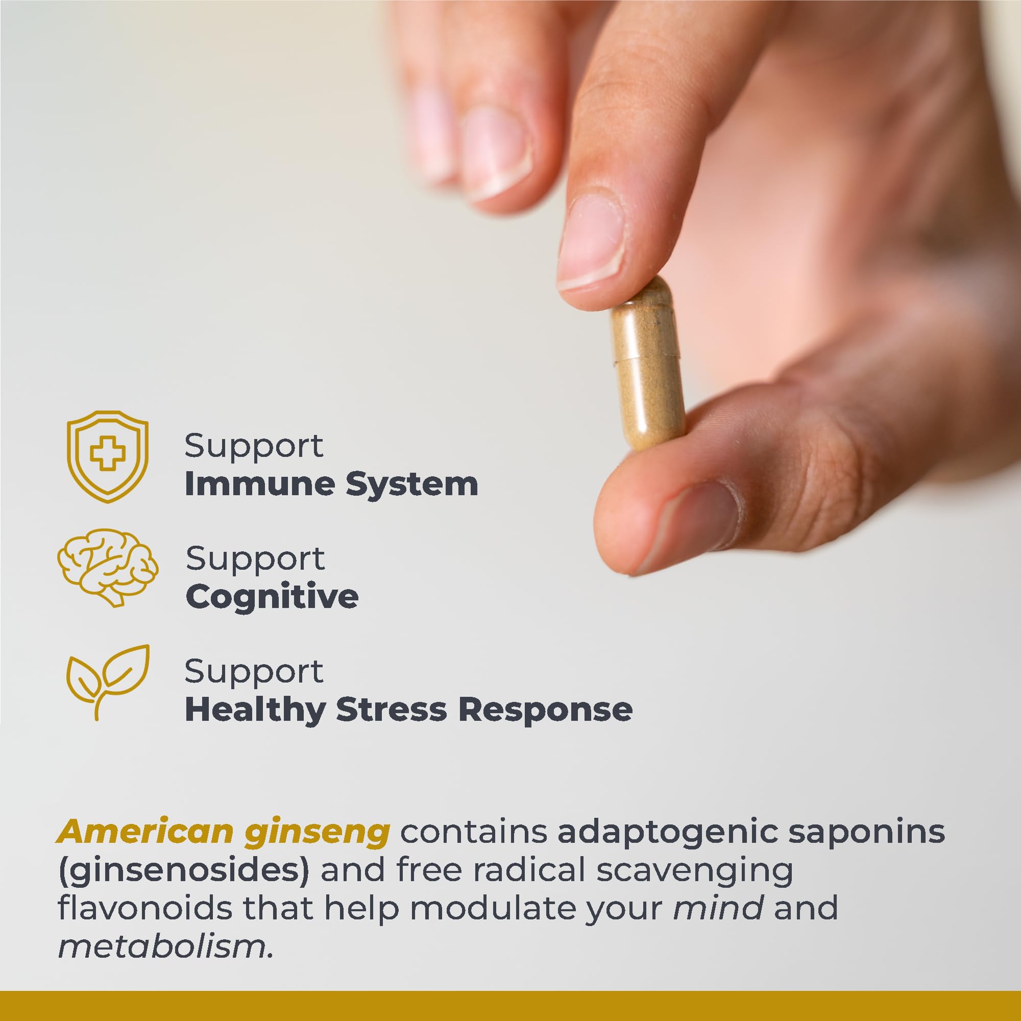 Premier Research Labs American Ginseng Supplement - American Ginseng Capsules, Herbal Ginseng Root Pills, North American Ginseng Herb Extract, Calming Energy Supplement - 60 Plant-Based Capsules