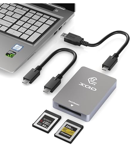 Amazon.com: XQD & CFexpress Type B Card Reader 2-in-1 - USB 3.2