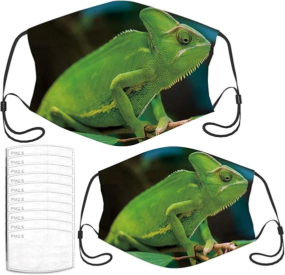Face Mask A Close Up Shot of A Green Chameleon Holding Adult Kids Masks