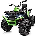 Hikiddo Kids ATV 4 Wheeler, 24V Ride On Toys Car for Big Kids with 400W Motor, 2 Seater - Green
