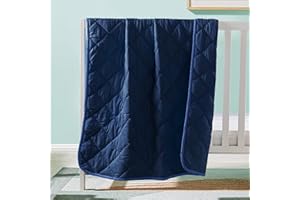 FLXXIE Machine Washable Microfiber Down Alternative Toddler Comforter, Soft and Lightweight Kids Crib Quilted Blanket for Str