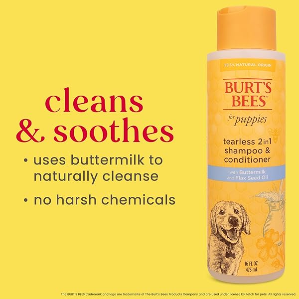 BURT’S BEES FOR PETS TEAR FREE PUPPY SHAMPOO & CONDITIONER WITH BUTTERMILK, 2 IN 1 GENTLE DOG SHAMPOO FOR PUPPIES, CLEANS AND CONDITIONS SENSITIVE SKIN, 16 FL OZ