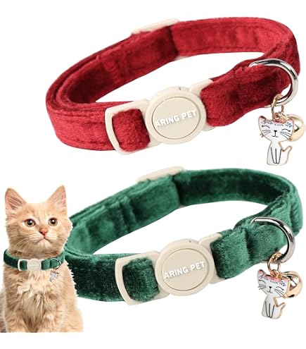 Westminster Hundehalsband – Verstellbar, Nylon, 0,95x20,3-30,5 Cm, Für Kleine Hunde & Katzen