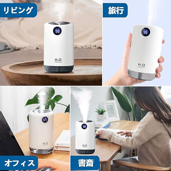 ドーム型加湿器 ラッコ エコ コンパクト 気化式 陶器 加湿器 卓上 かわいい