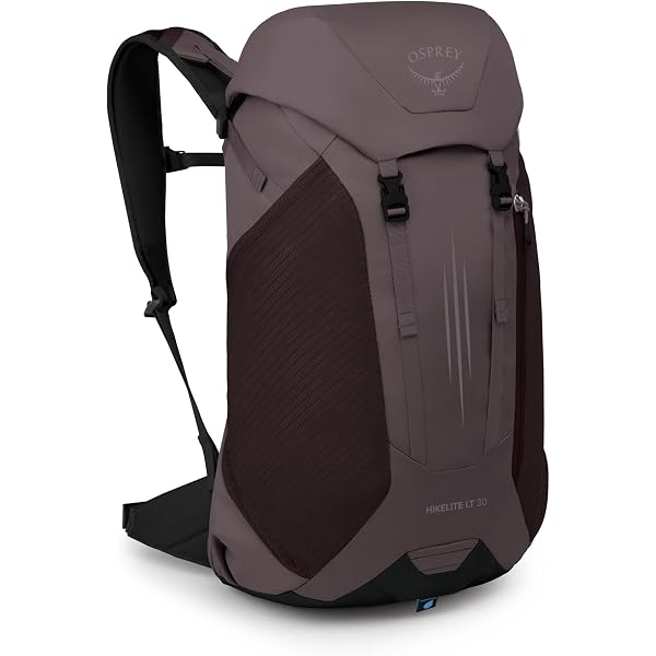Amazon.com : Black Diamond Jetforce Tour Pack 26 Avalanche Airbag (MD-LG) :  Sports & Outdoors