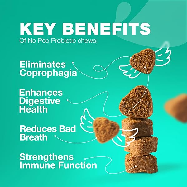 COPROPHAGIA DETERRENT – NO POO CHEWS FOR DOGS – DOG PROBIOTICS FOR DIGESTIVE HEALTH WITH ENZYMES – CANINE STOOL EATING DETERRENT – DIGESTIVE, DENTAL, GUT & IMMUNE HEALTH TREATS – NO POOP EATING