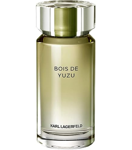 Karl Lagerfeld Eau De Toilette Spray, 3.4 Ounce : Amazon.ca