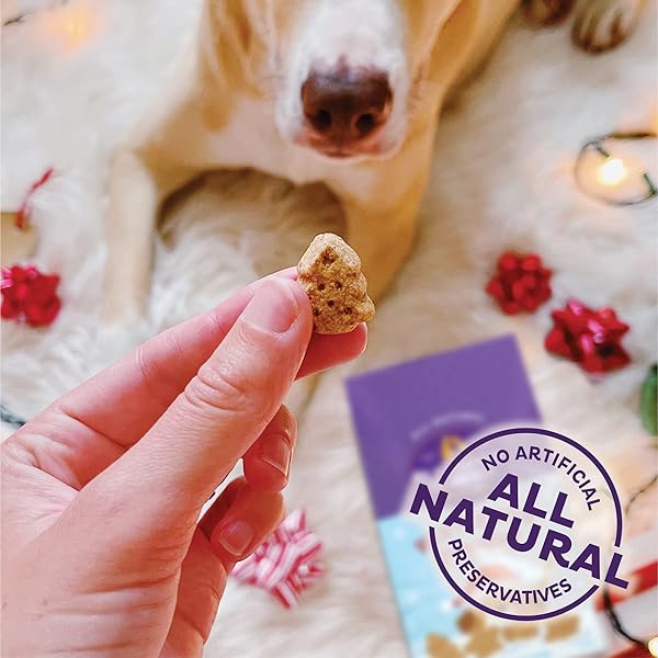 OLD MOTHER HUBBARD WELLNESS WINTER FUN P-NUTTIER DOG BISCUITS, NATURAL, SEASONAL, HOLIDAY TREATS, PEANUT BUTTER FLAVOR, (16 OUNCE BAG)