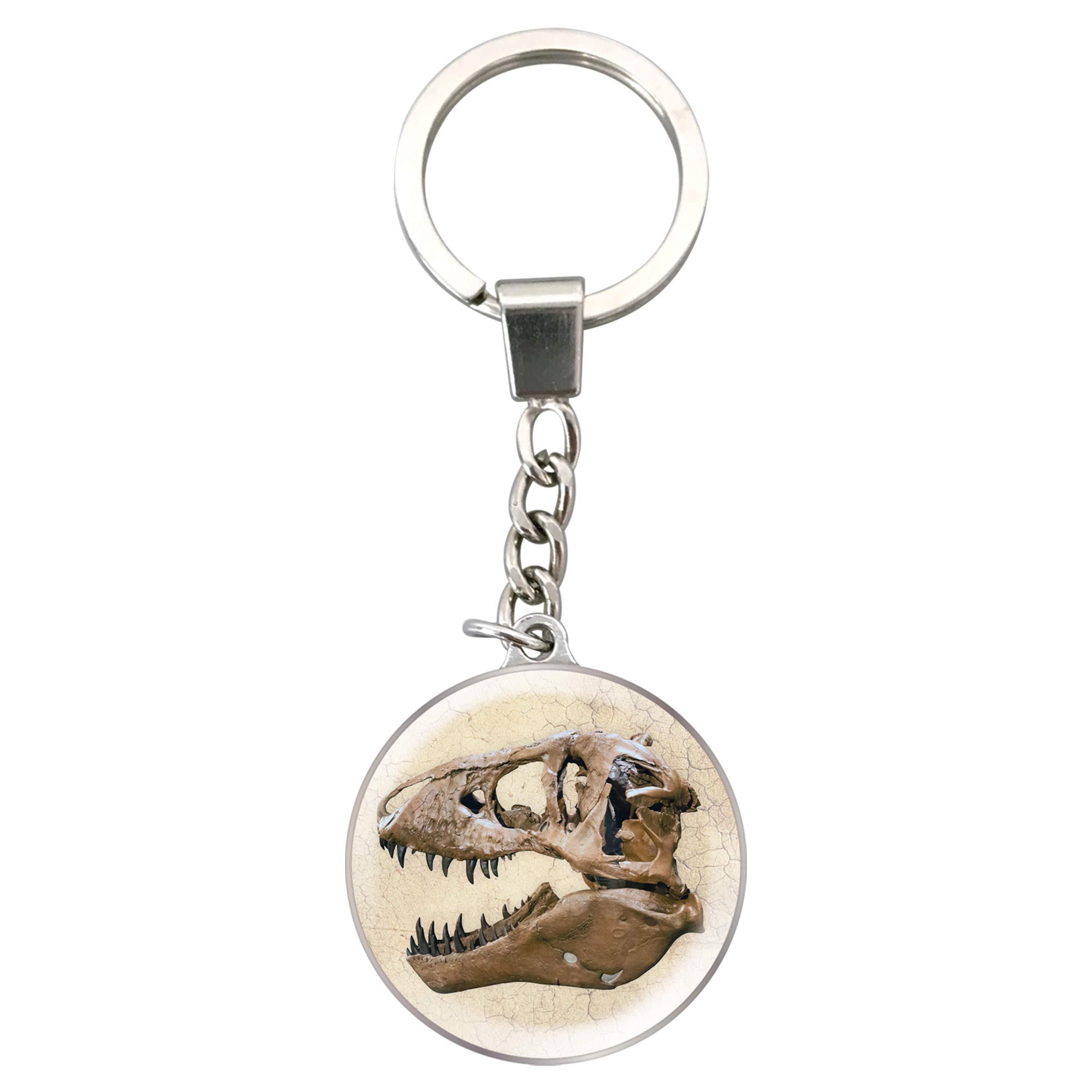 Magnidome Deluxebase T-Rex Skull Keychain – Crystal Glass Dome Animal Key Ring with Stainless Steel Chain, Cute T-Rex Skull Key Holder for Fun Bag Charms and Novelty Gifts.