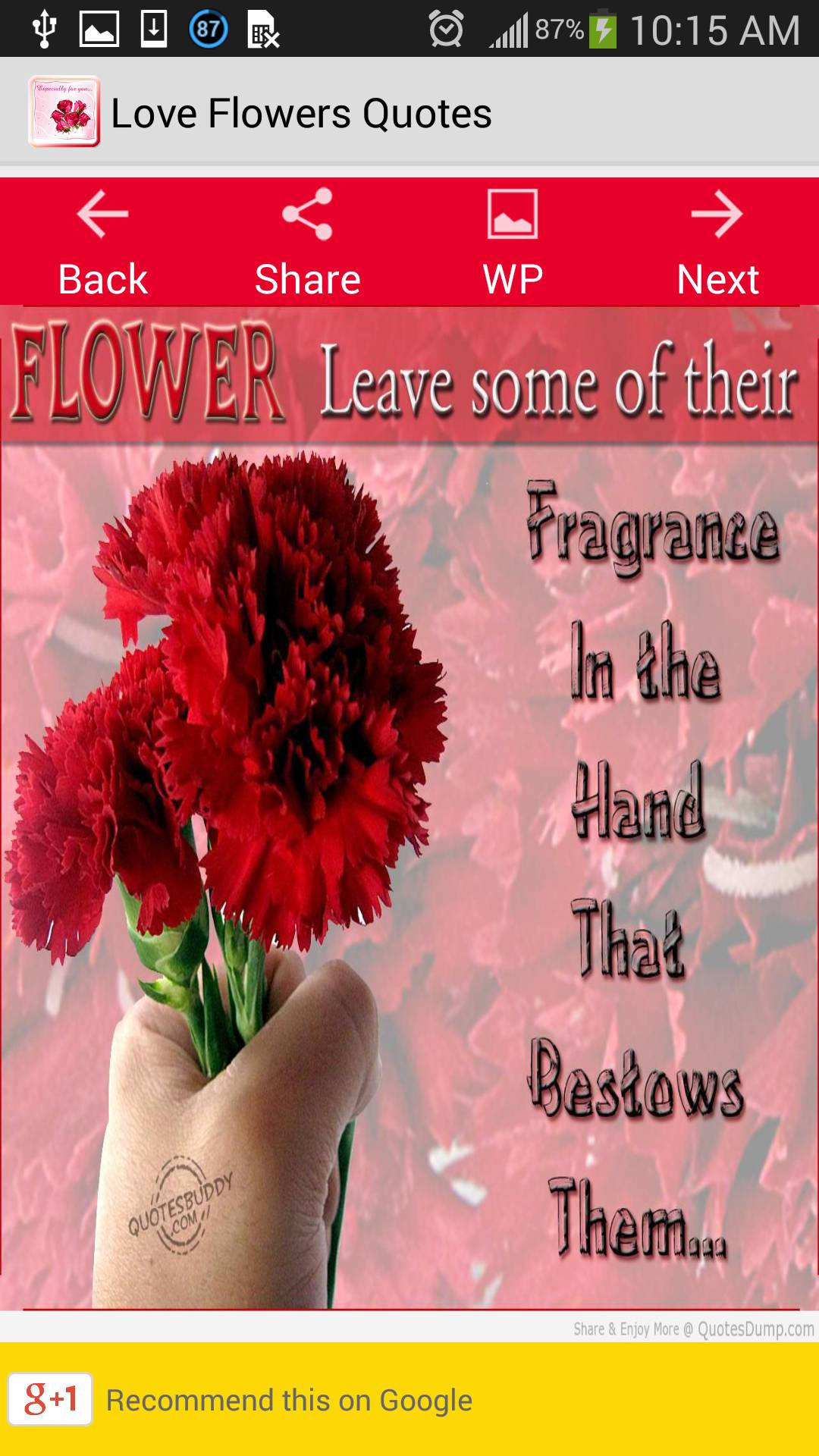 97+ Flower Wallpaper For Quotes