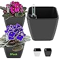 Self Watering Planters for Indoor Plants 5 inch 3 Pack Grey Planter with Water Level Indicator African Violet pots