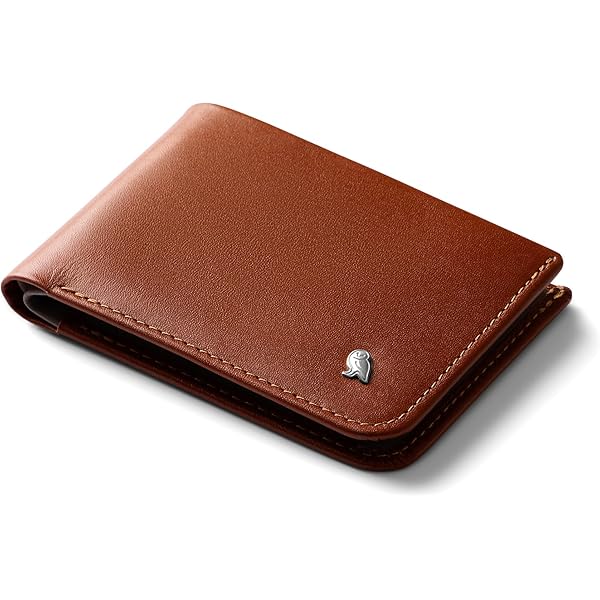Amazon.com | Bellroy Travel Wallet, travel document holder