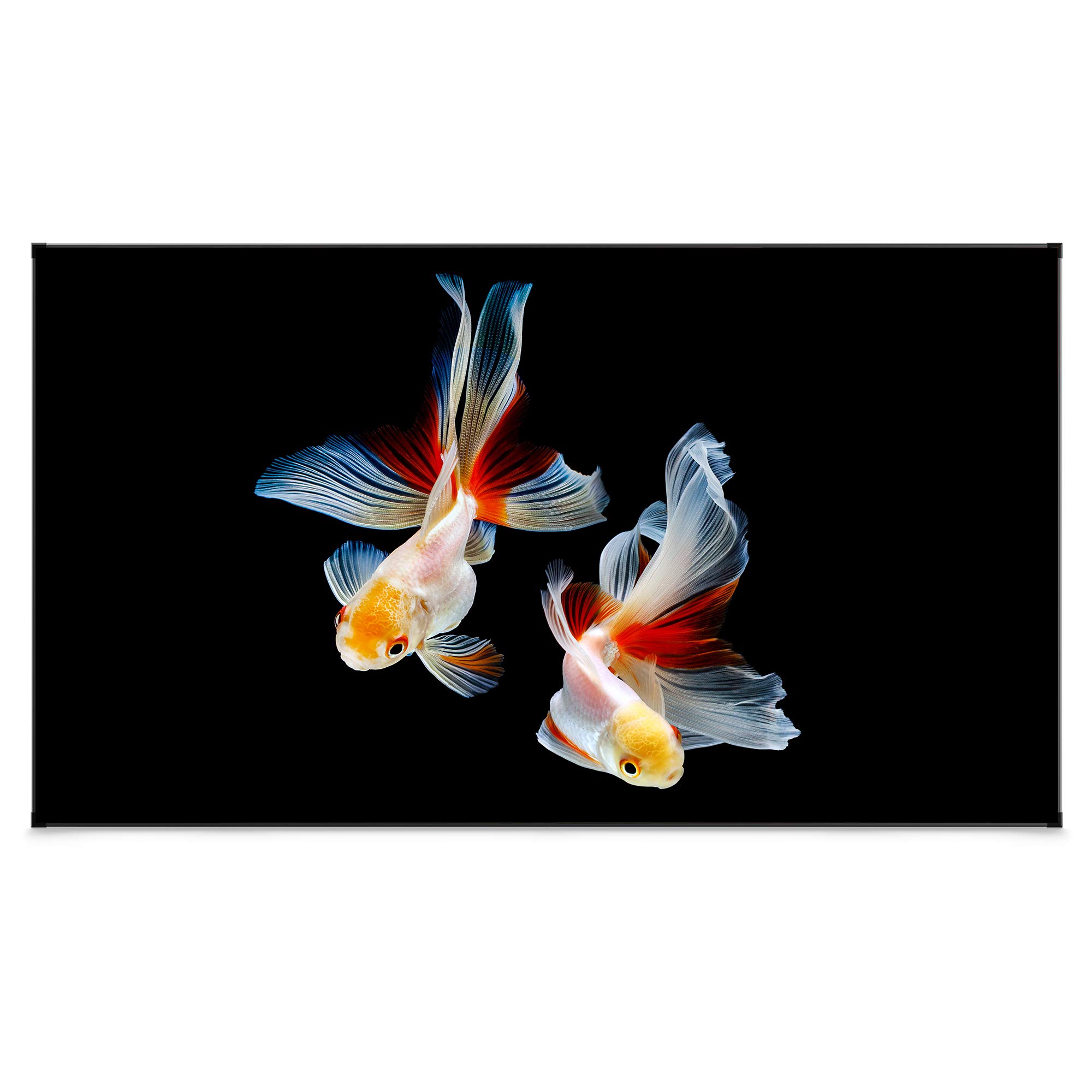 Buy VAVA ALR Projector Screen, 100inch Ultra HD 169, Fixed Frame