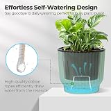T4U 4 Pack 18cm Self Watering Plant Pots Indoor Green House Planters view 3