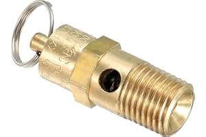 PATIKIL 1/4 Male NPT Safety Valve, 1 Pack Pressure Release Valve Air Release Valve for Air Compressor, 200 PSI Set Pressure
