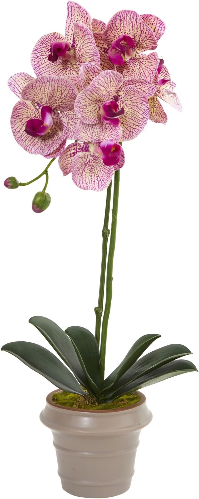Nearly Natural Artificial 20” Designer Phalaenopsis Orchid Arrangement, Pink