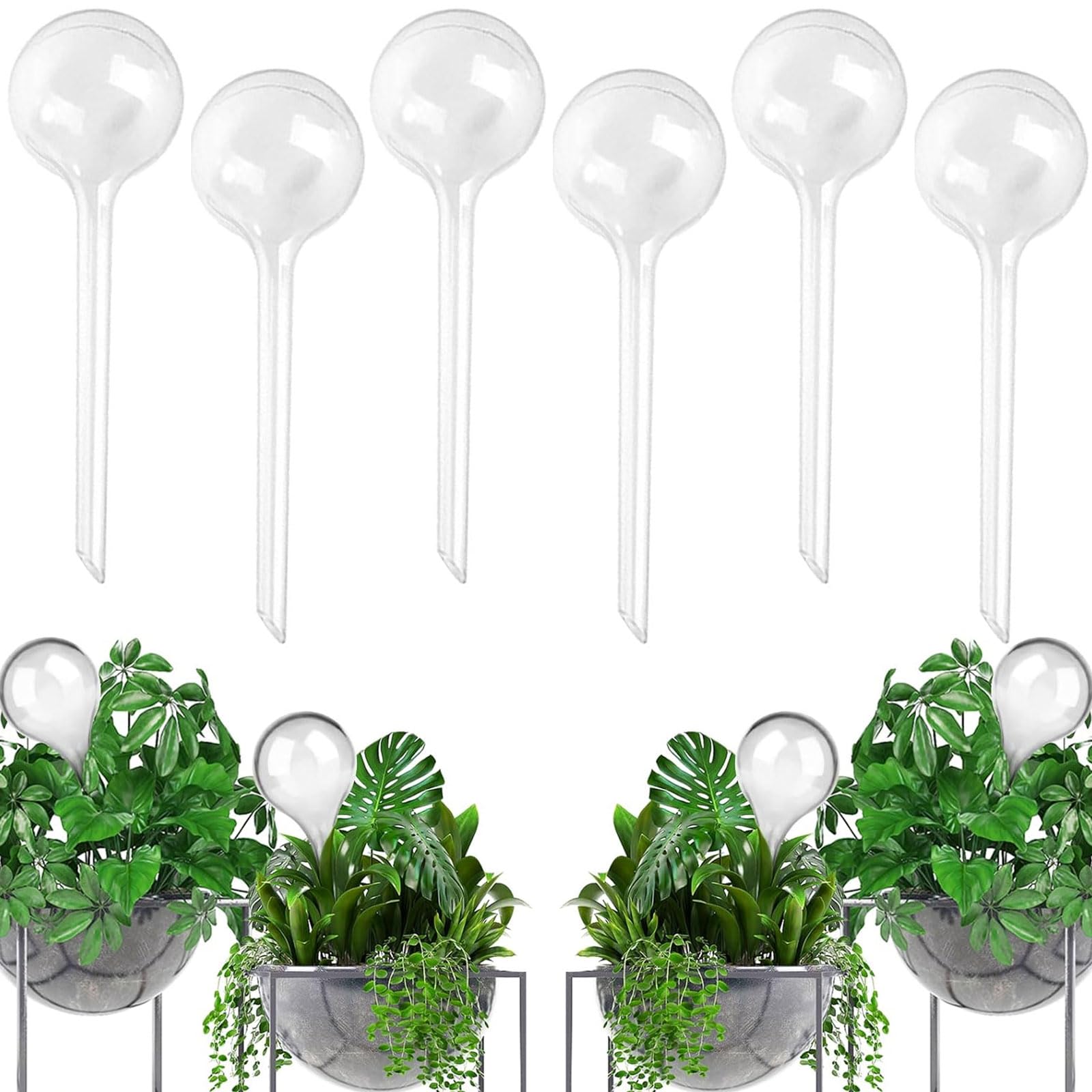 SevenMye 6 Pack Plant Watering Bulbs 5cm Plastic Watering Globes Self-Watering Globes Garden Automatic Waterer Flower Water Drip Irrigationdevice Self Watering System for Indoor Outdoor Plants