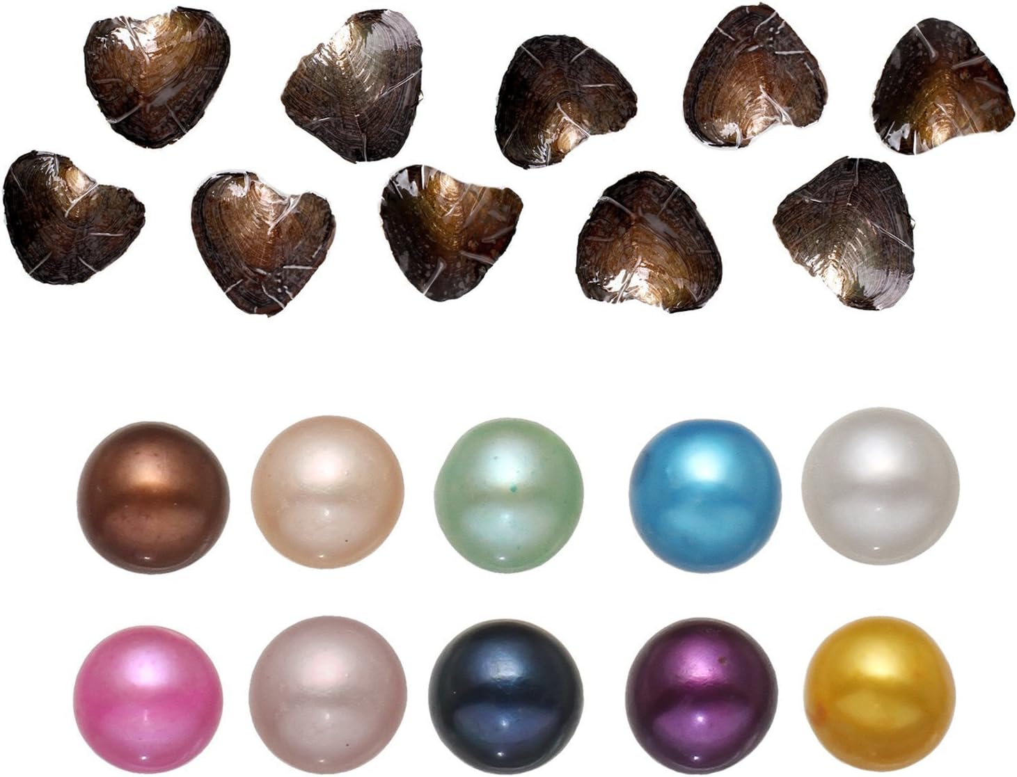 10pcs Love Wish Pearl Oyster Twins/Single Pearl Inside Freshwater Cultured 6-8mm AA Grade, Colourful Pearls In Oyster Mothers Day Gift (Single Pearl Oyster X10)