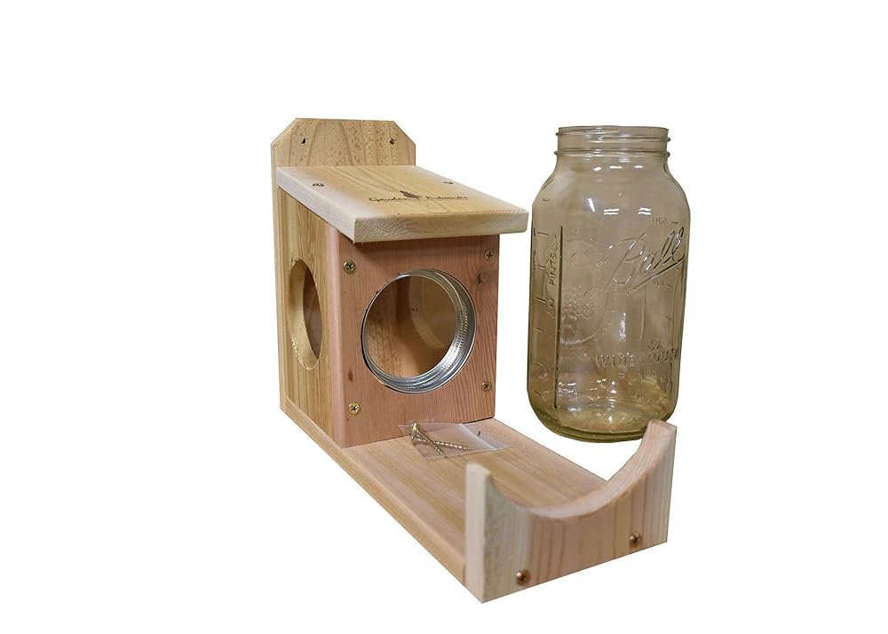 Amazon Com Garden Artworks Squirrel Jar Feeder With Screw On Jar
