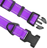 Joytale Reflective Dog Collar XS Purple, Neoprene Padded Nylon, Adjustable view 3