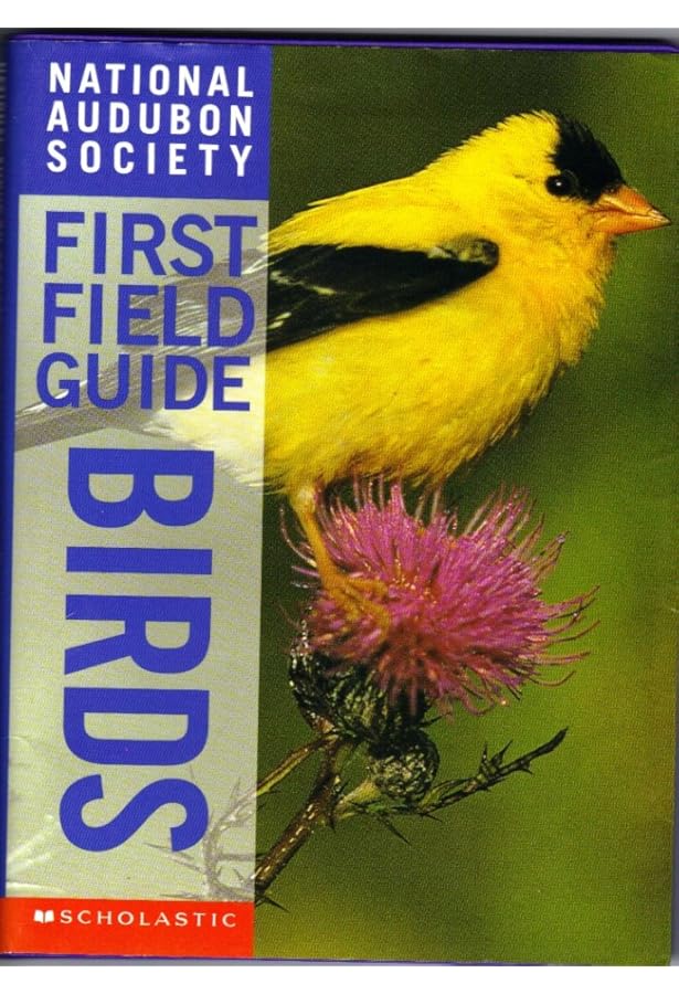 National Audubon Society First Field Guide: Fishes: Smith, C