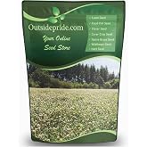 Outsidepride Perennial White Ladino Clover Seed - 5 lbs. Nitrocoated, Inoculated Bulk Clover Seeds, Ideal for Pasture, Forage, Food Plots &amp; Wildlife Ground Cover for Continuous &amp; Rotational Grazing