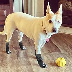 EXPAWLORER Anti Slip Dog Socks to Prevent Licking