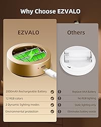EZVALO Picture Lights for Wall with Charging
