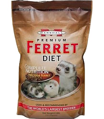 Getzoo Harhlwormer 25g I Importante Proveedor De Proteínas
