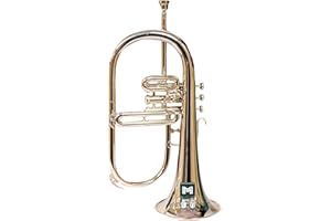Flugel Horn 3 Valve, BB Pitch, Premium Brass Quality Including Mouthpiece & Carrying Case, Glove, (SILVER)
