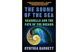 The Sound of the Sea: Seashells and the Fate of the Oceans