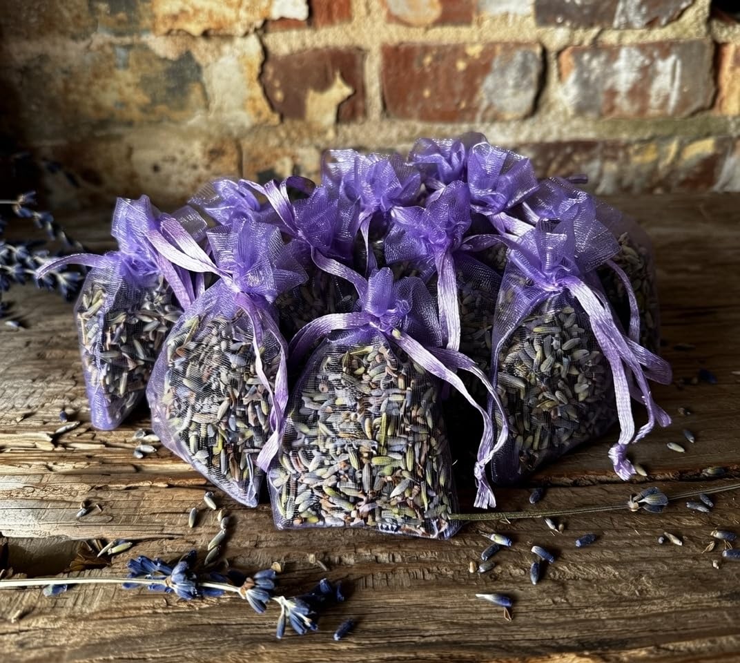 10 Aromatic French Lavender Bags Fresh Handmade Naturally Fragranced Moth Repellent, Sleep Aid, Vacuum Sealed for Freshness