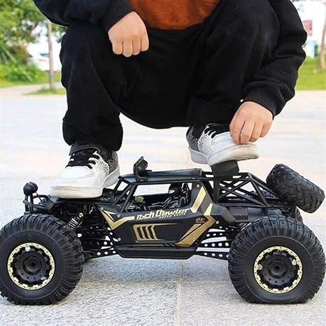 Big Tire Monster RC Car,RC Buggy 