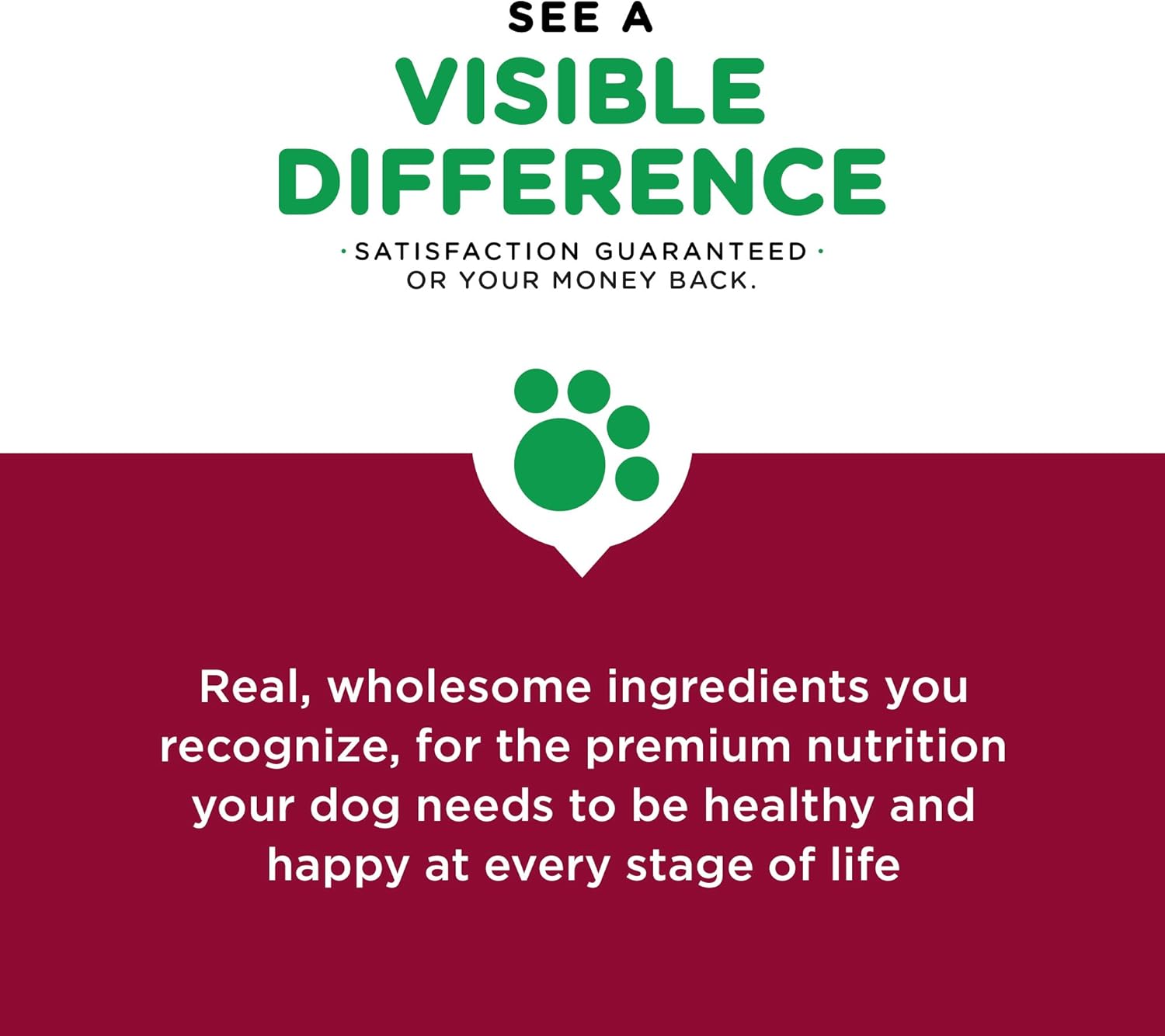 iams proactive health beef and rice