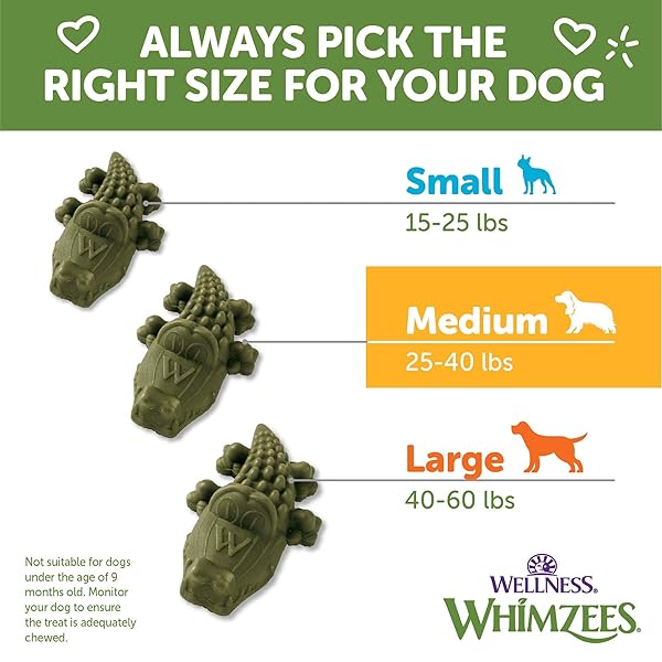 WHIMZEES WELLNESS ALLIGATOR DOG DENTAL TREATS, NATURAL CHEWS, MEDIUM SIZE, (12 COUNT)