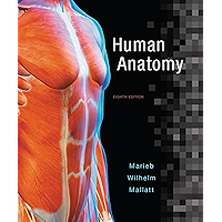 Human Anatomy